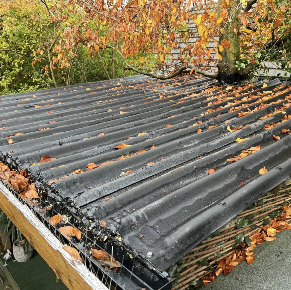 Old patched flat roof covered in leaves before replacement